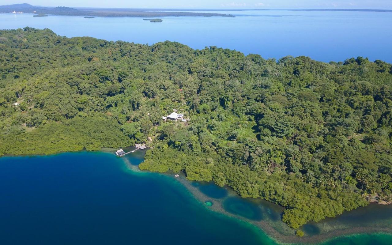 Finca Vela Lodge Bocas Town Bagian luar foto