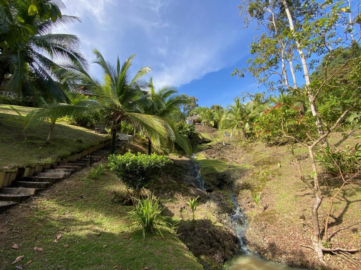 Finca Vela Lodge Bocas Town Bagian luar foto