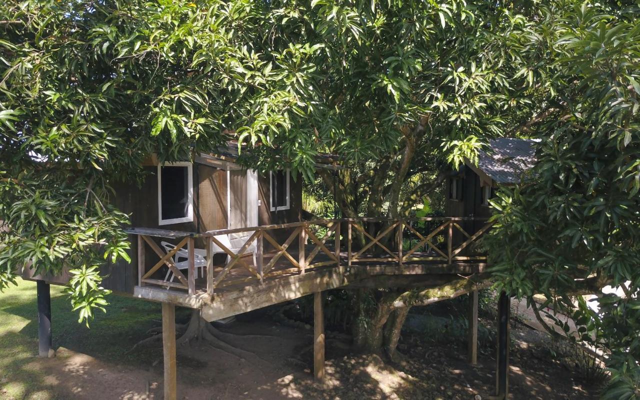 Finca Vela Lodge Bocas Town Bagian luar foto