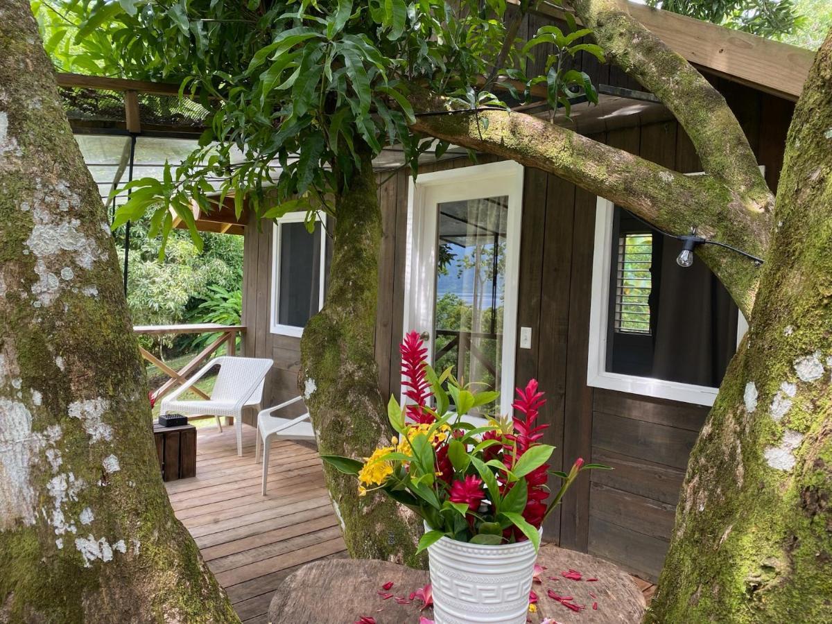 Finca Vela Lodge Bocas Town Bagian luar foto
