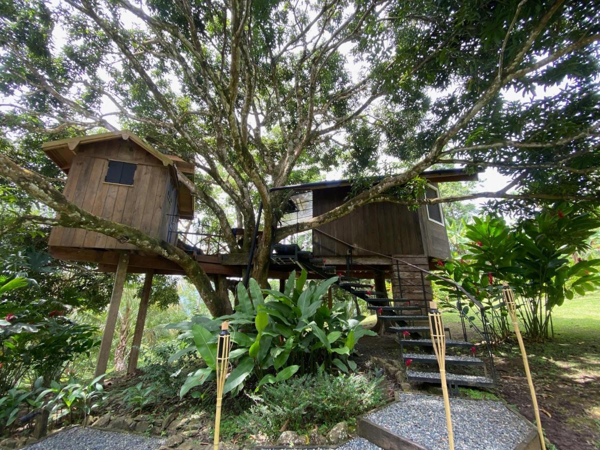 Finca Vela Lodge Bocas Town Bagian luar foto