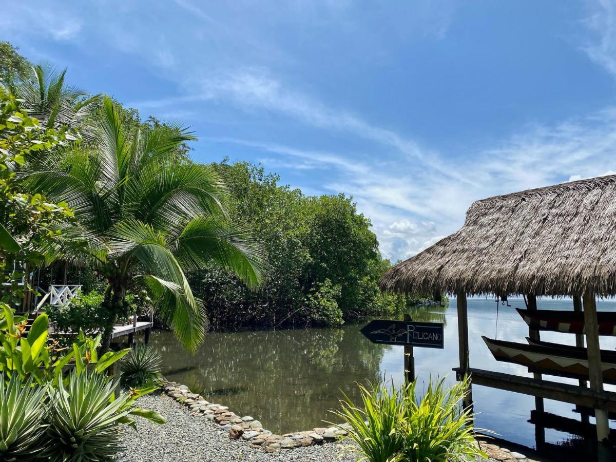 Finca Vela Lodge Bocas Town Bagian luar foto