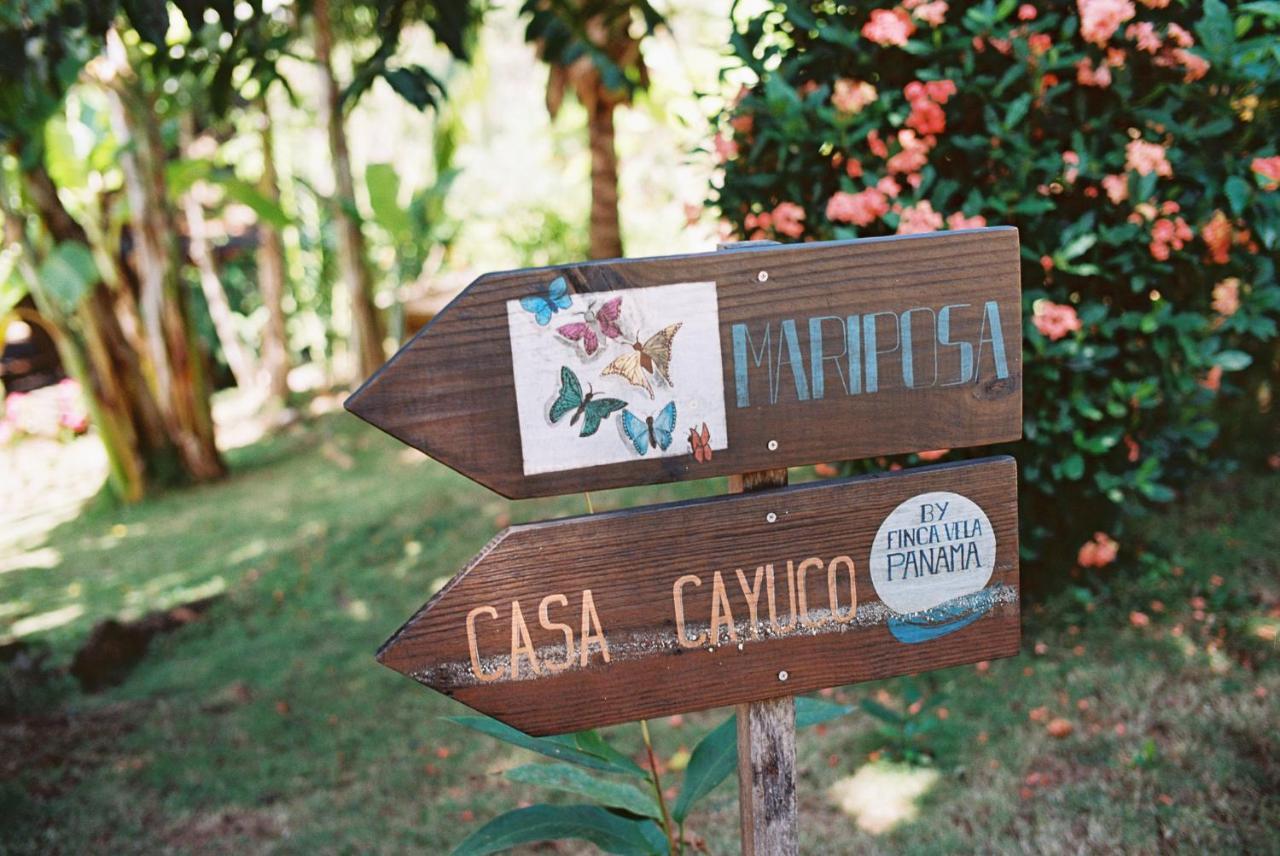 Finca Vela Lodge Bocas Town Bagian luar foto