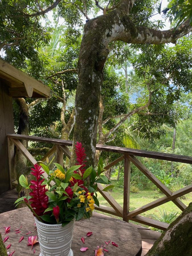 Finca Vela Lodge Bocas Town Bagian luar foto