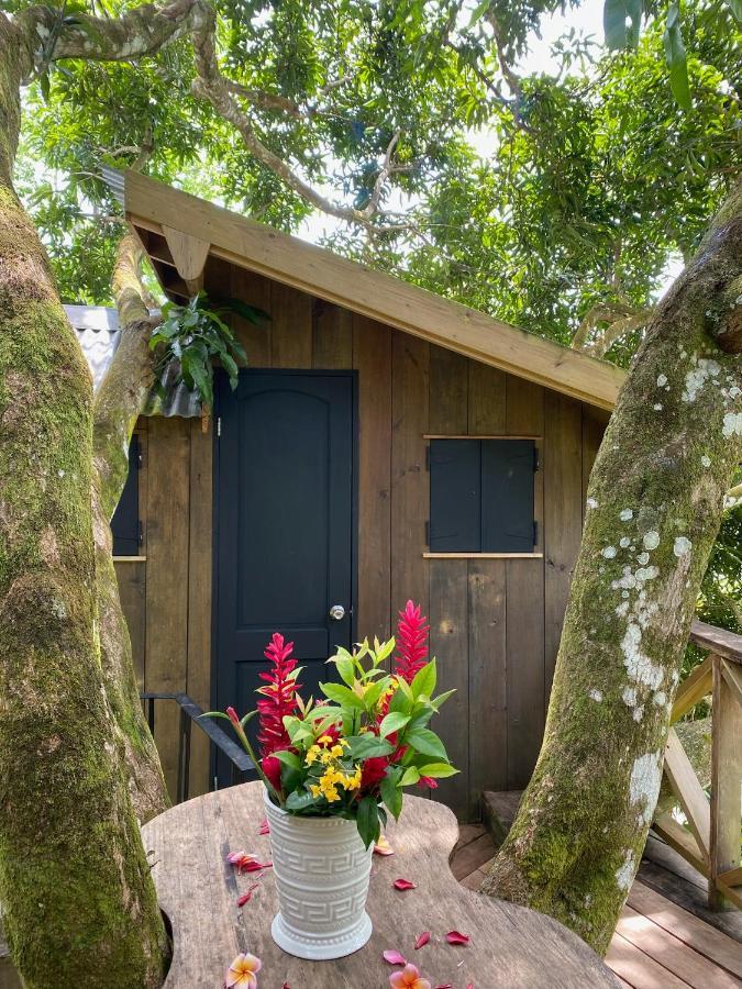 Finca Vela Lodge Bocas Town Bagian luar foto