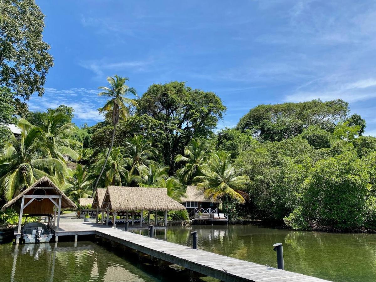 Finca Vela Lodge Bocas Town Bagian luar foto